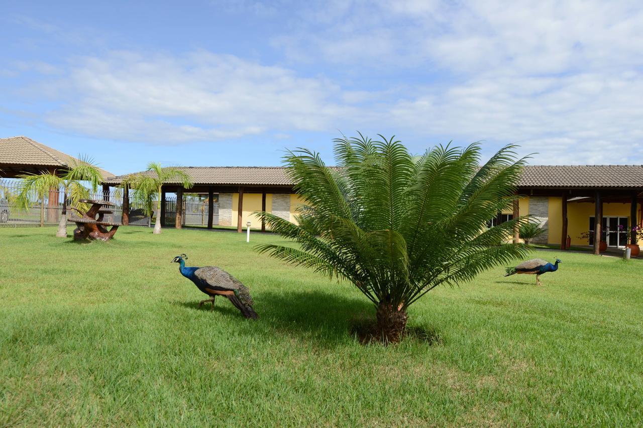 Pousada Haras Santa Rita Poconé Exterior photo